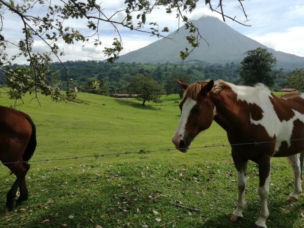 Casona Rustica & Bungalow La Fortuna Eksteriør bilde