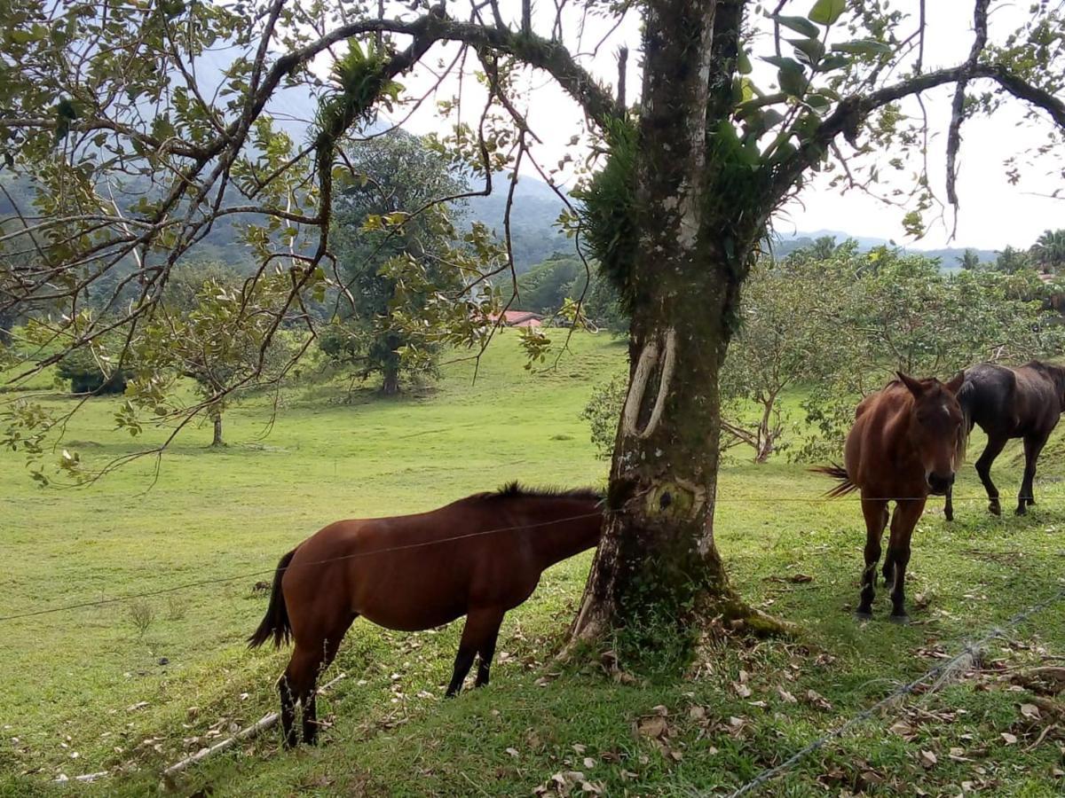 Casona Rustica & Bungalow La Fortuna Eksteriør bilde